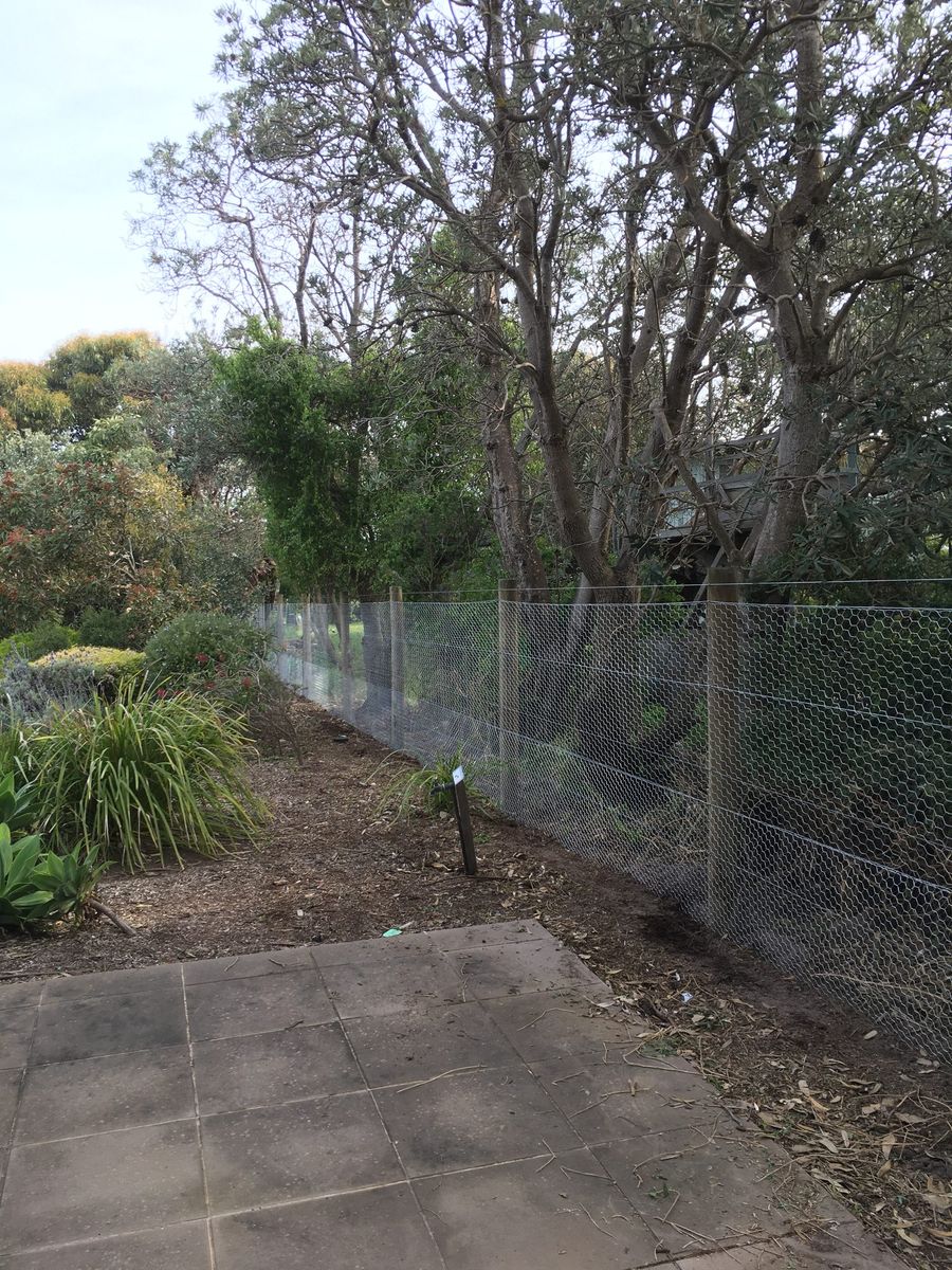 Pet-proofing