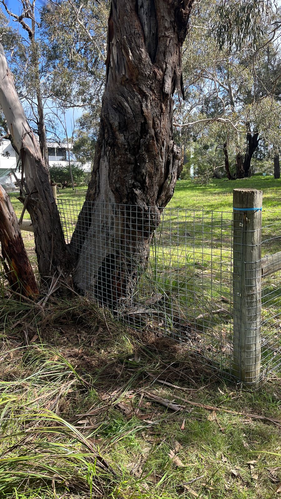 Mesh panel to fill gaps