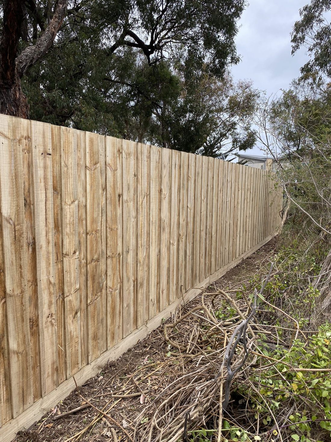 Timber paling privacy fence