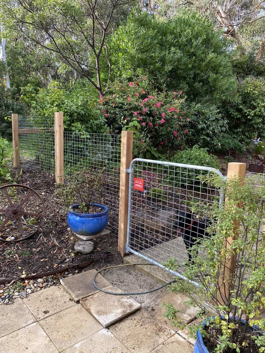 50x75 profile mesh panels with gate