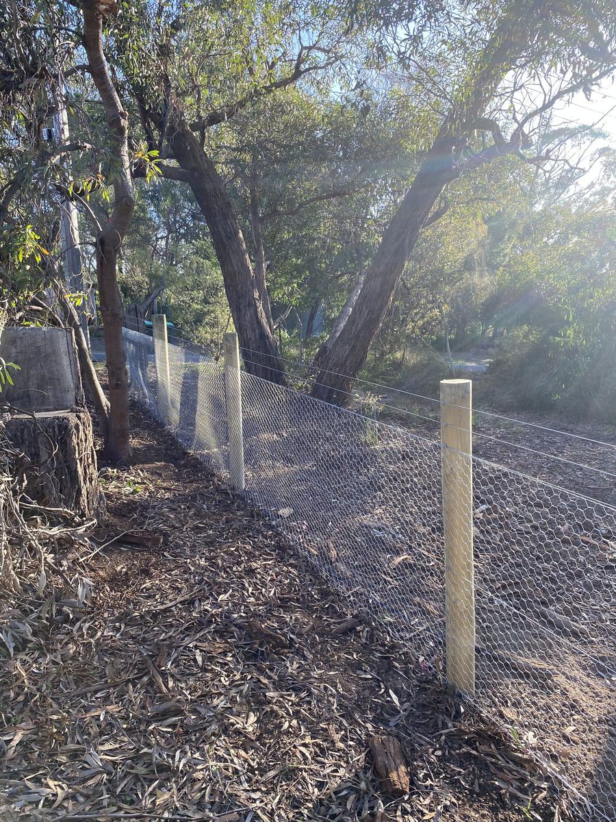 Chicken wire with treated pine posts